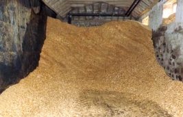 Smart Wood Chips Dryer